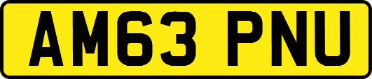 AM63PNU