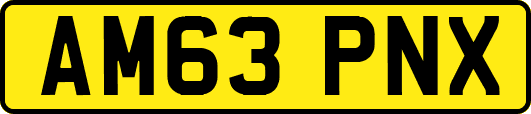AM63PNX