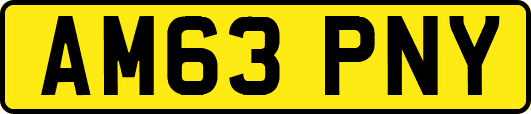 AM63PNY