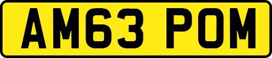 AM63POM