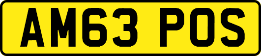 AM63POS