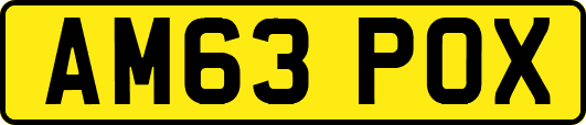 AM63POX