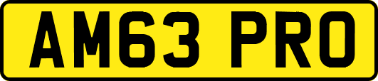 AM63PRO