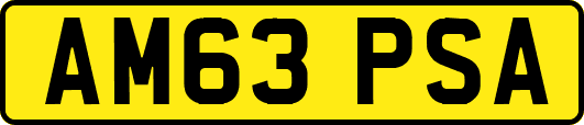AM63PSA