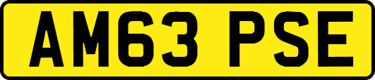 AM63PSE