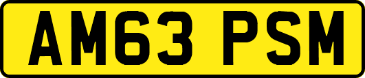 AM63PSM