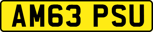 AM63PSU