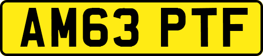 AM63PTF