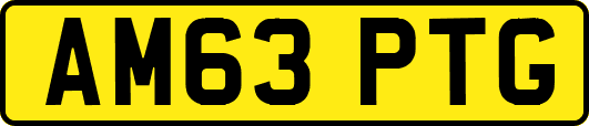 AM63PTG