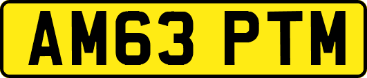 AM63PTM