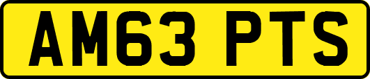 AM63PTS