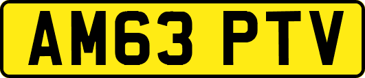 AM63PTV