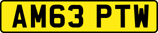 AM63PTW