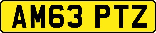 AM63PTZ