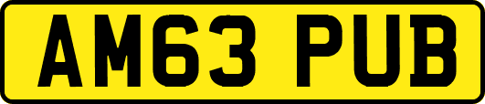 AM63PUB
