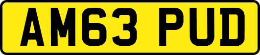 AM63PUD