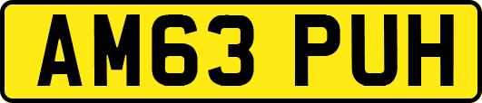 AM63PUH