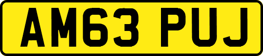 AM63PUJ