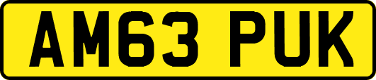 AM63PUK