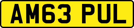AM63PUL