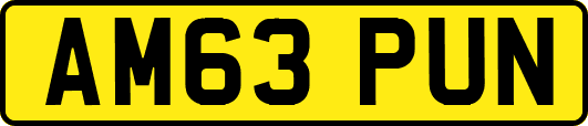 AM63PUN