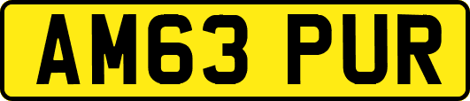 AM63PUR