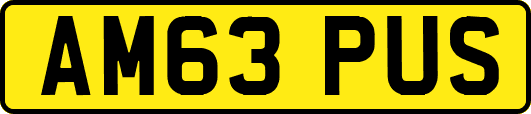 AM63PUS