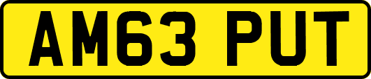 AM63PUT