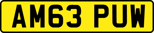 AM63PUW