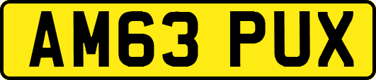 AM63PUX