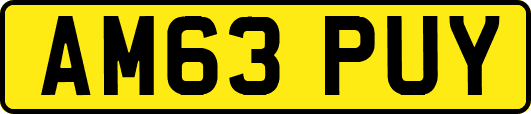 AM63PUY
