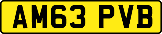 AM63PVB
