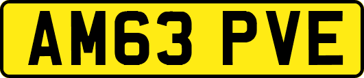 AM63PVE