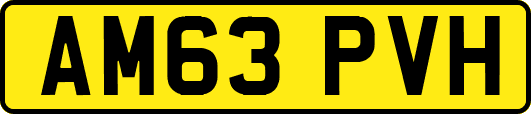 AM63PVH