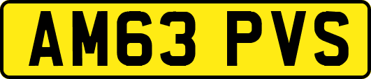 AM63PVS