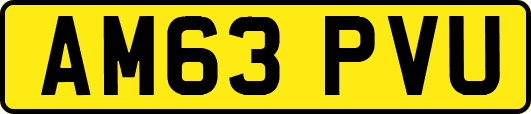 AM63PVU