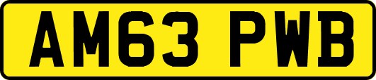 AM63PWB