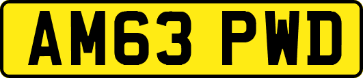 AM63PWD