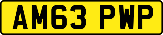 AM63PWP