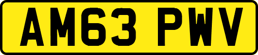 AM63PWV