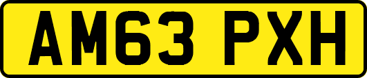 AM63PXH