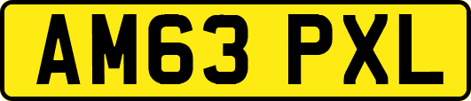 AM63PXL