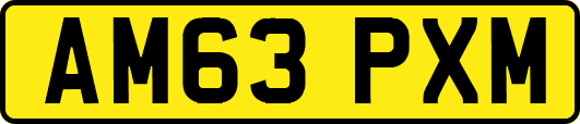 AM63PXM