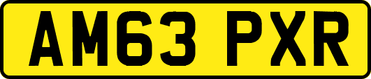 AM63PXR