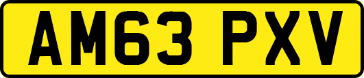 AM63PXV