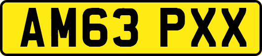AM63PXX