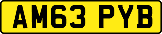 AM63PYB