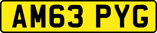 AM63PYG
