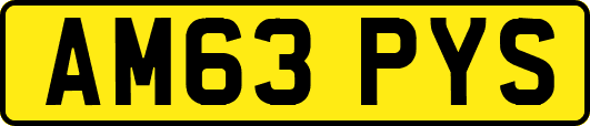 AM63PYS