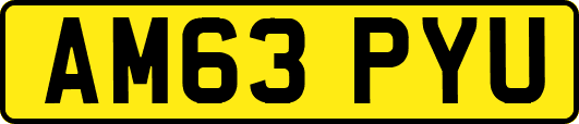 AM63PYU
